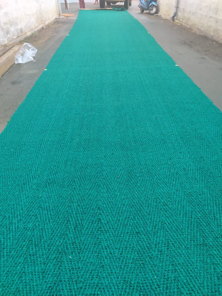 Cricket Practice Net Setup